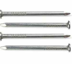 Nail 5 Inch